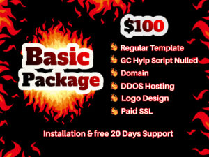 Basic Hyip Package